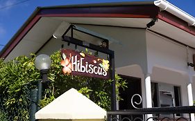 Pension Hibiscus